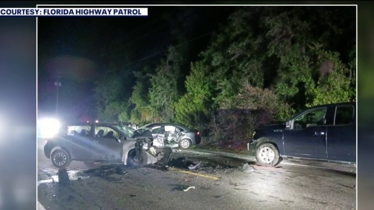 Armwood High School student killed in hit-and-run