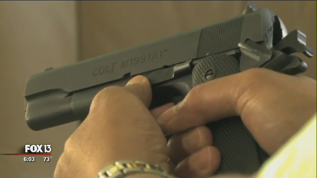 74 guns stolen from home