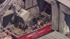 Another cleanup deadline for Lineage
