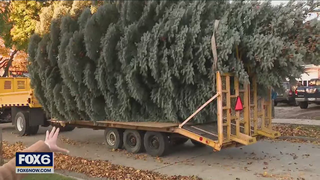 City of Milwaukee Christmas