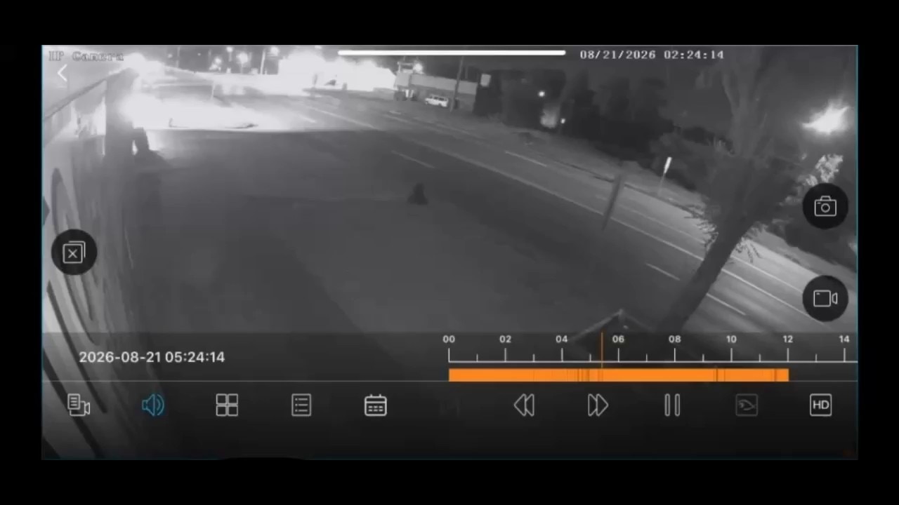 Dearborn Heights video records gunshots between police, suspect