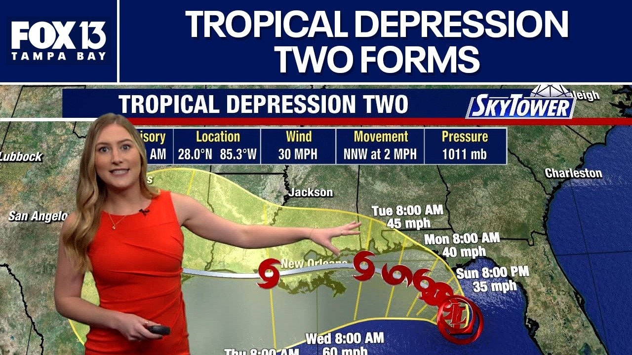 Tropical Depression Two forms in Gulf