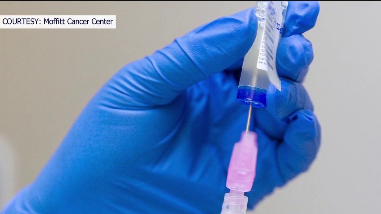 Moffitt studies cell therapy to treat breast cancer