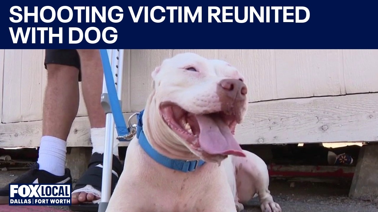Prairie Creek Road shooting victim reunited with dog