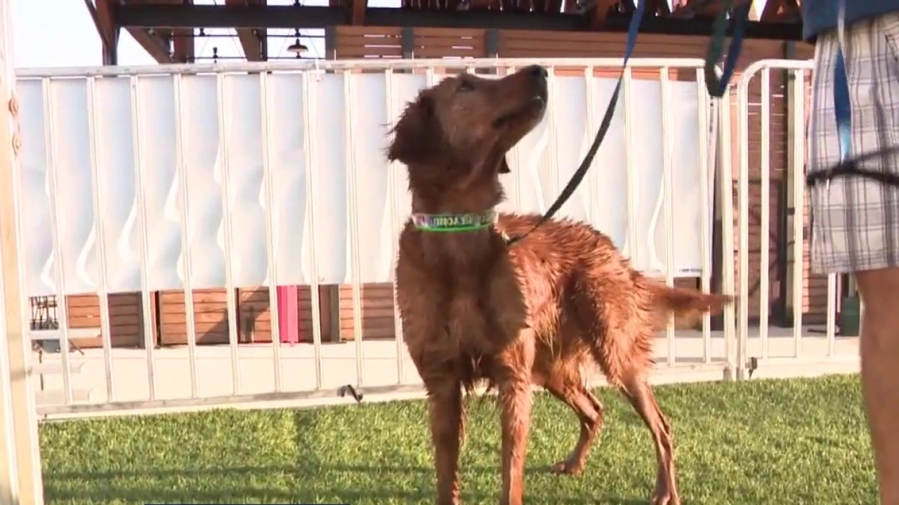 Fromm hosts pop-up pet-fest event at Mequon Foxtown Station