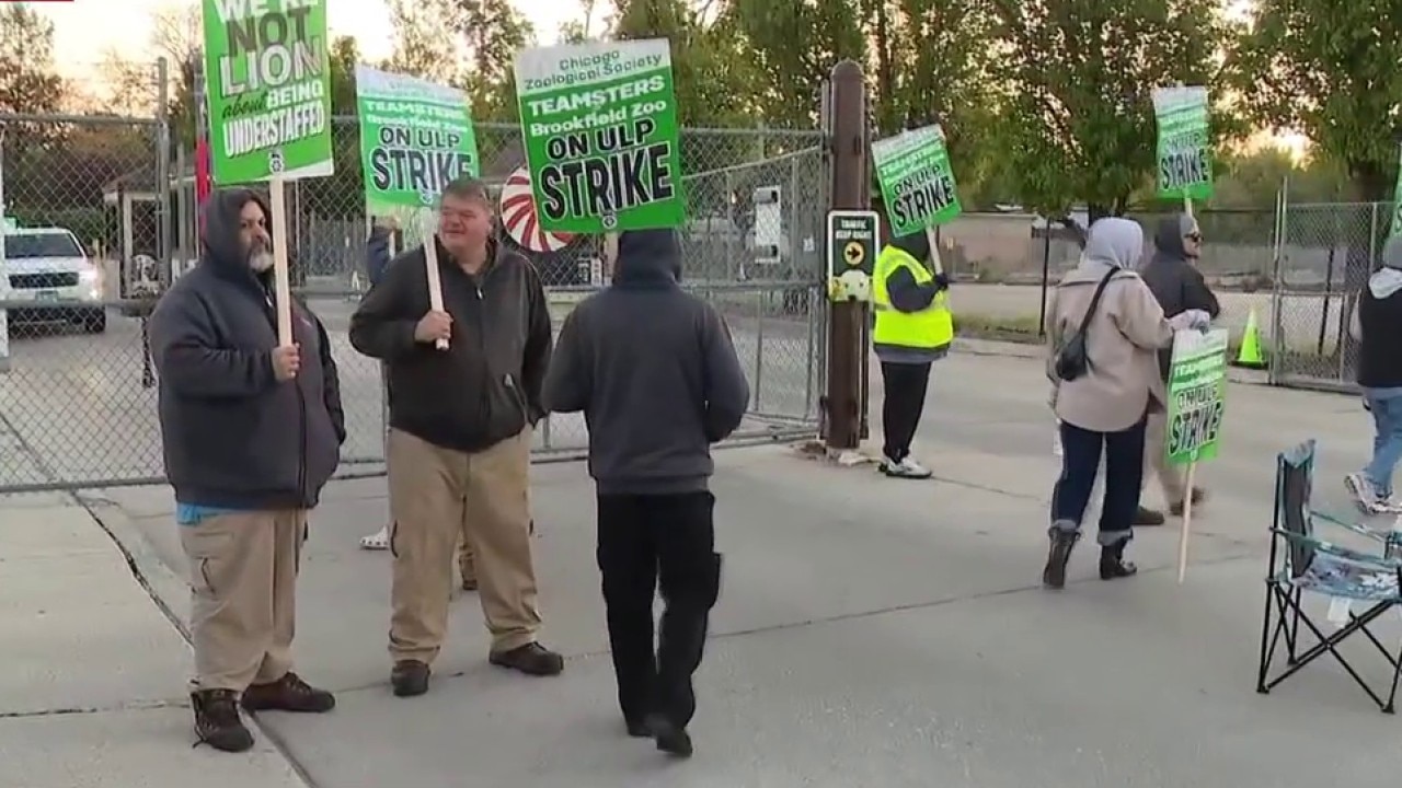 Brookfield Zoo Chicago strike: Some workers walk off job