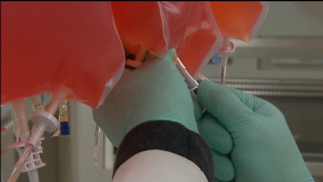 Personalized cancer vaccine shows promise, experts weigh in