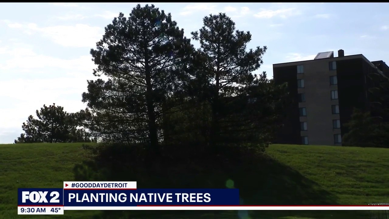 Planting trees for Arbor Day