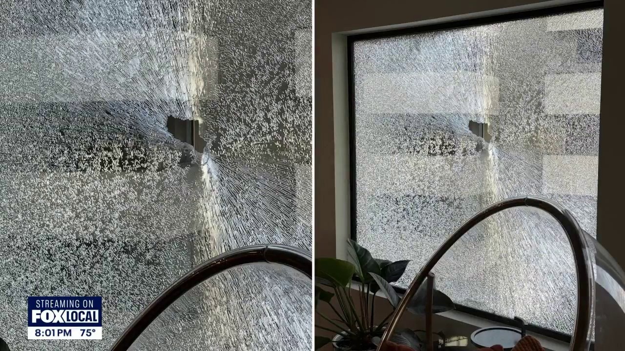 Over 70 shots fired in West Seattle overnight