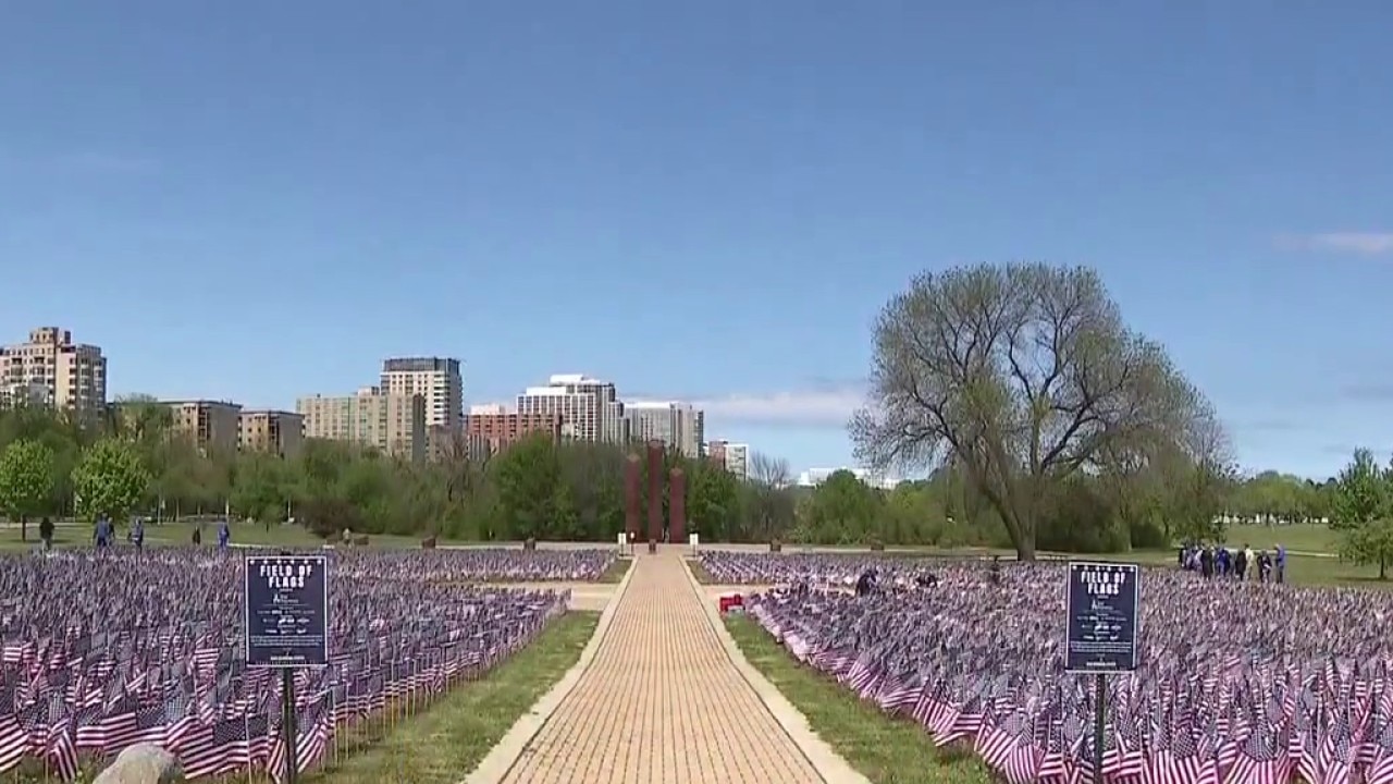 Field Of Flags outside War Memorial Center