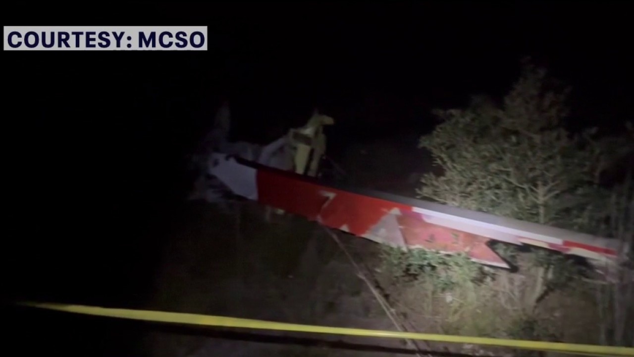 Mosquito control helicopter pilot killed in crash