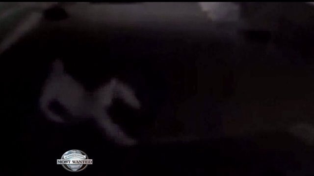 `Scaredy Cat Burglar` wanted in Puyallup