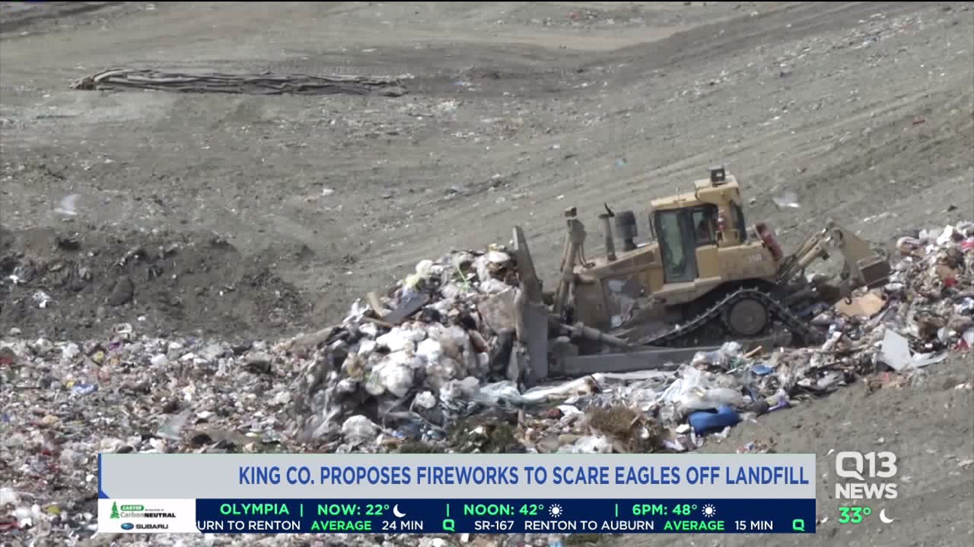 King Co. proposes fireworks to scare eagles away from landfill