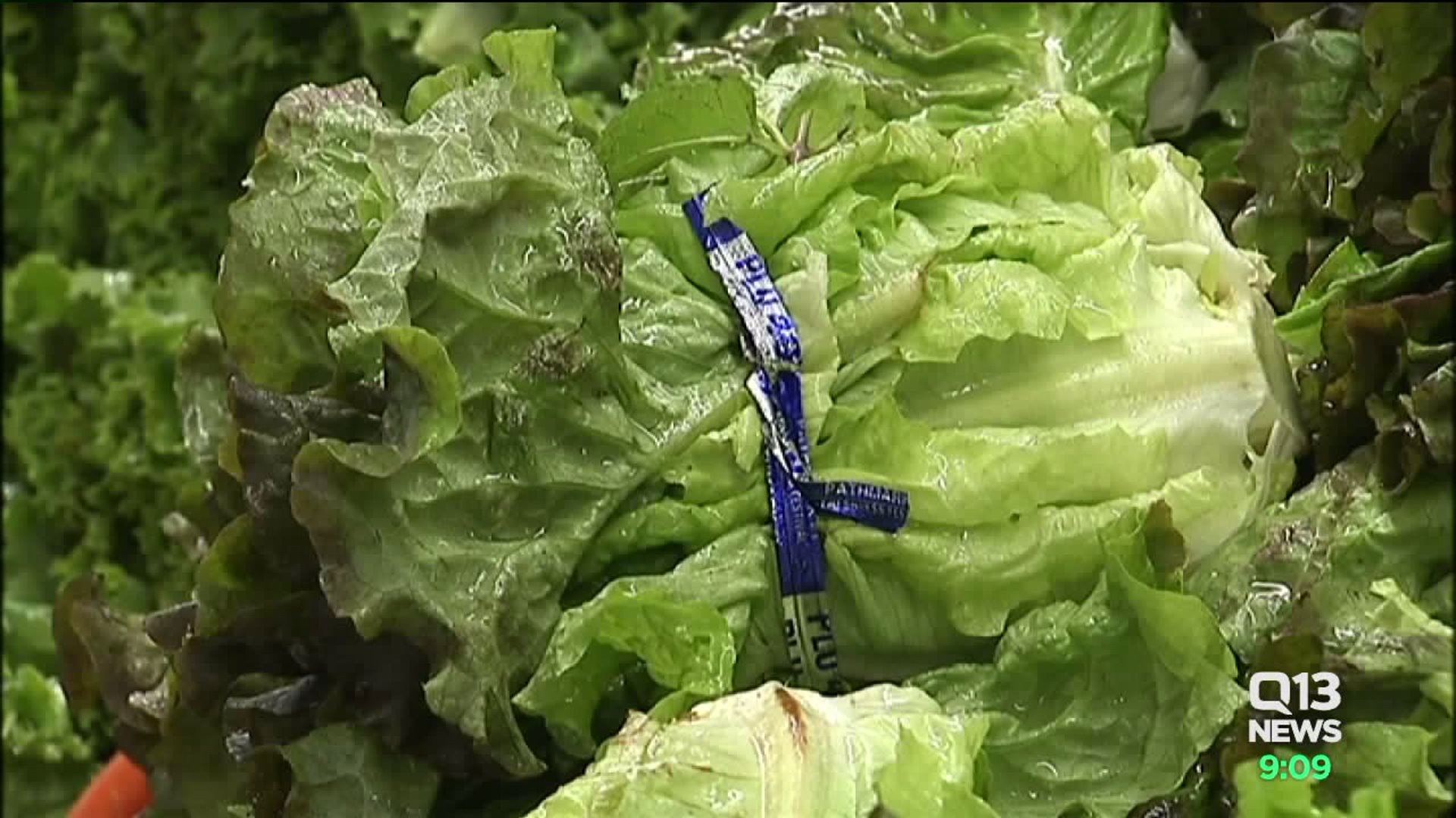 Romaine lettuce E. coli outbreak