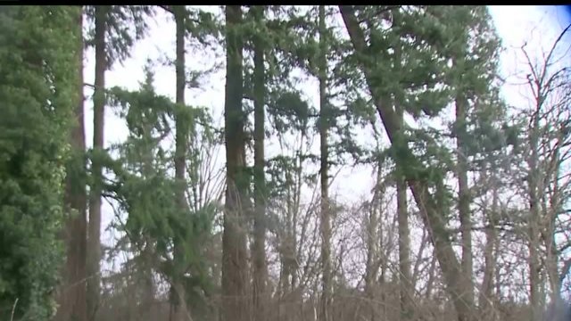 Rain and wind damage