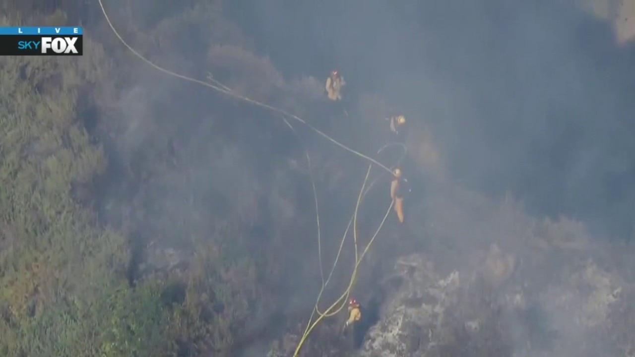Small brush fire breaks out in Hollywood Hills