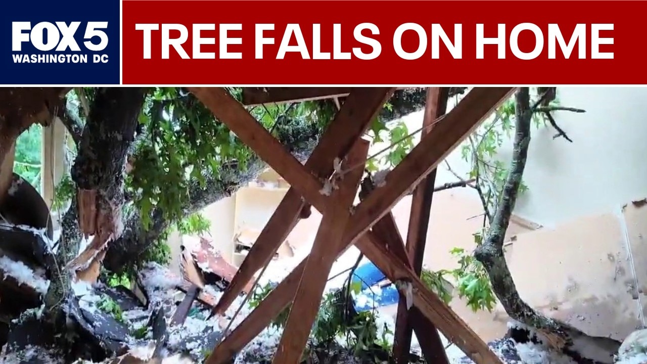 Maryland woman narrowly escapes as tree crashes into home