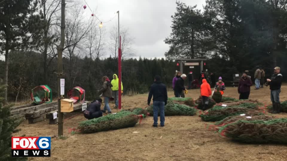 Christmas tree Fundraiser for boy with skin disease