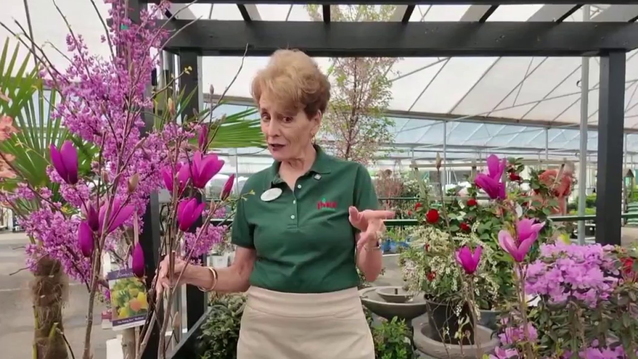 Rena Sartain on the benefits of gardening for your health