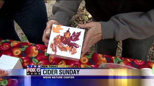 Laura learns how to make a stick wreath, other Cider Sunday crafts
