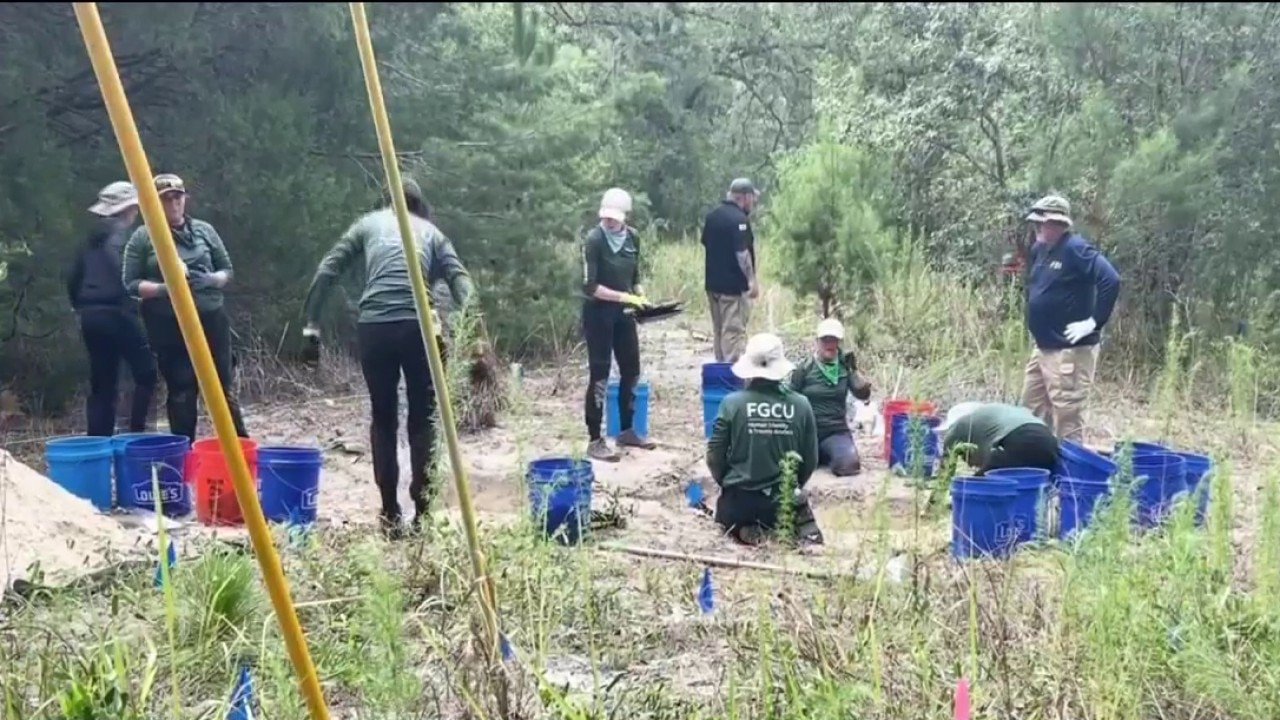 Search related to serial killer case