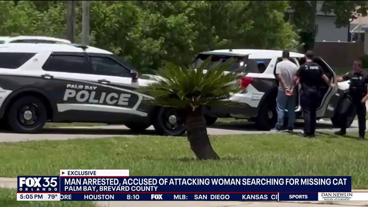 Woman fights off attacker in Palm Bay neighborhood; man arrested: Police