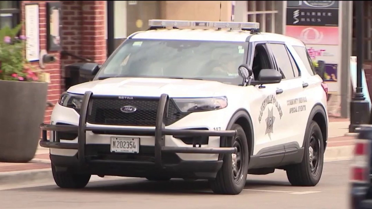 Naperville teen takeover leads to 9 arrests