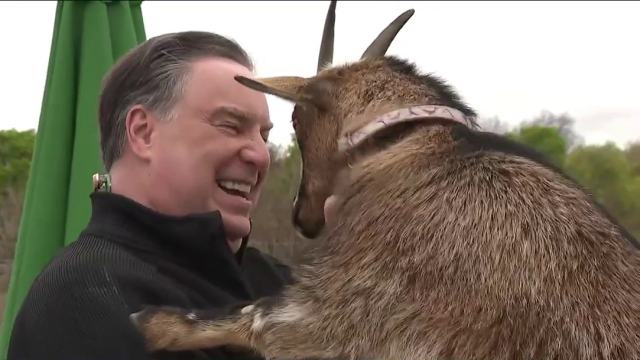 Inside Elawa Farm: Nonprofit grows food and education in Lake Forest