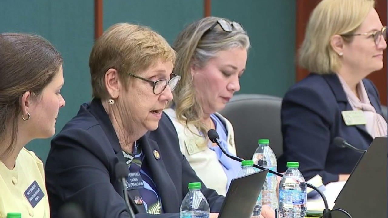 Georgia lawmakers examine rising foster care costs at State Capitol