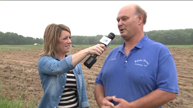 Meg learns how Polzin Farms got started