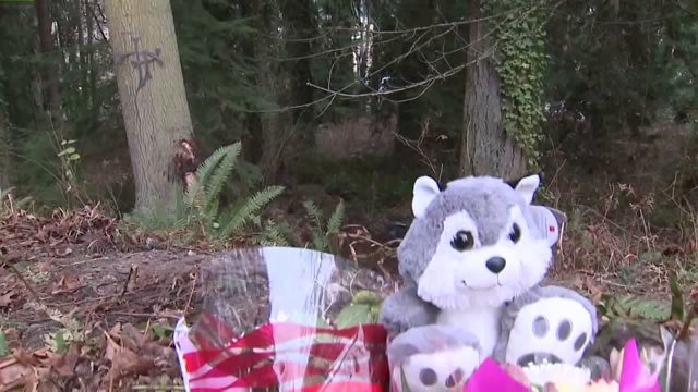 Community rallies around mom who lost 2 children in traffic accident