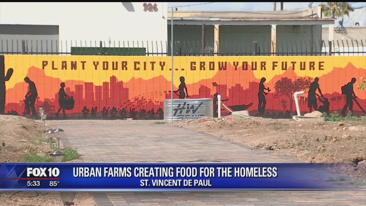 Urban farm in Phoenix teaches people how to grow their own food