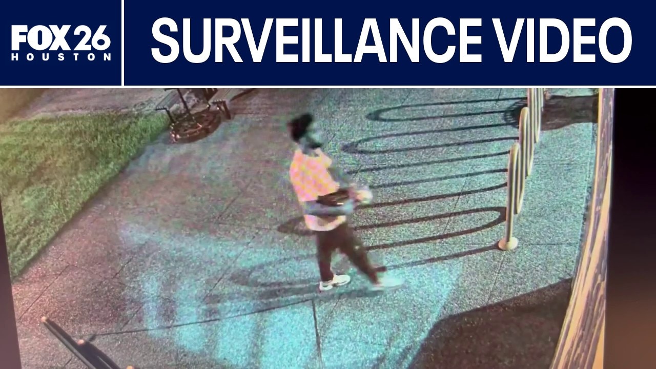 VIDEO: Authorities release surveillance video 