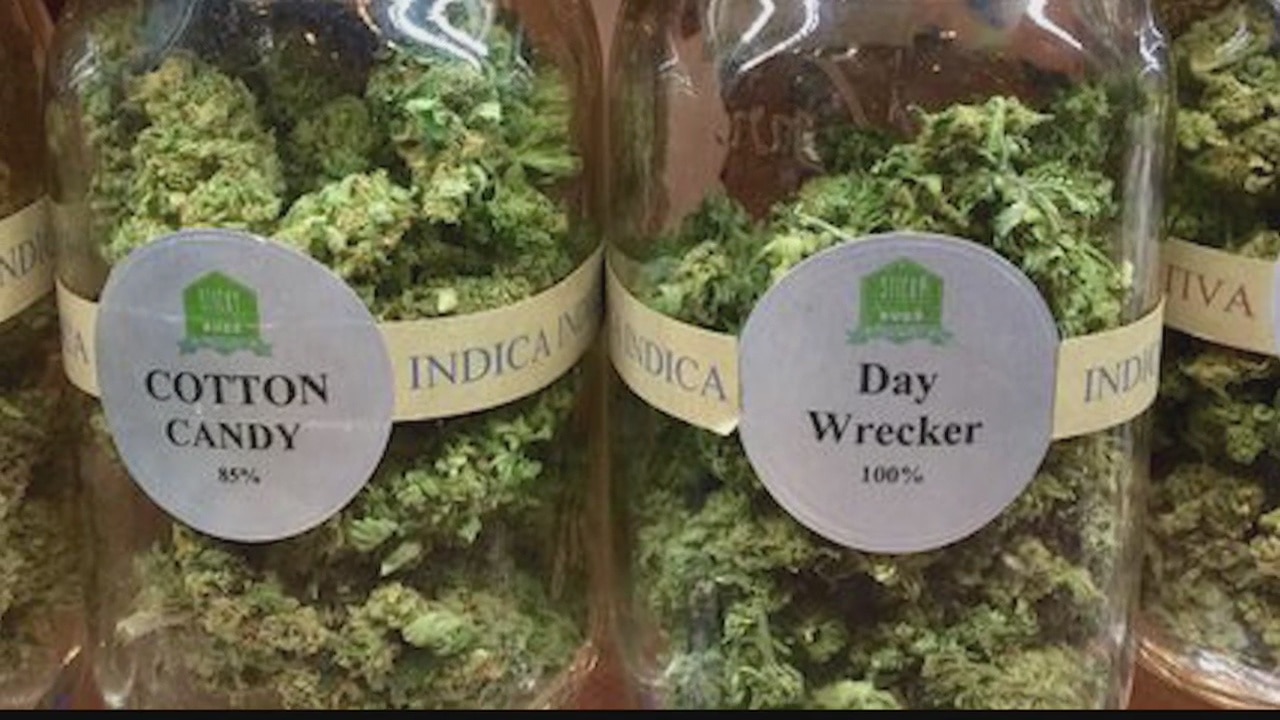 Approved patients can start getting medical marijuana in 2 weeks