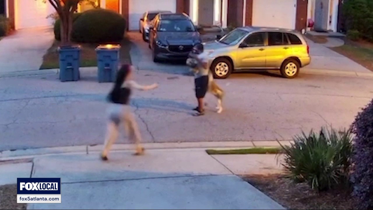 Video shows man being attacked by dog