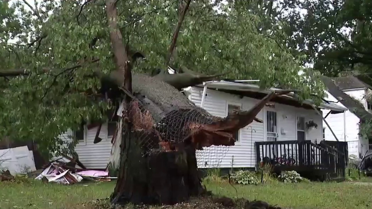 Severe storms leave tree on Detroit home
