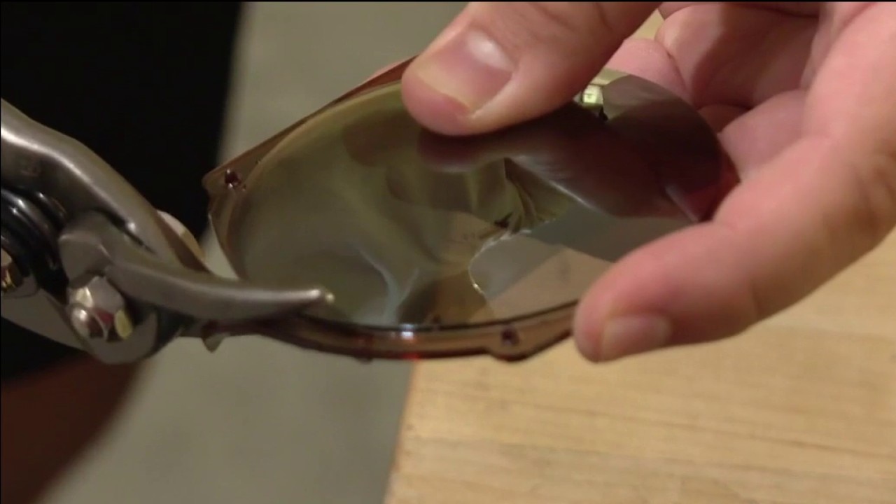 Fuse Lenses in Palm Harbor