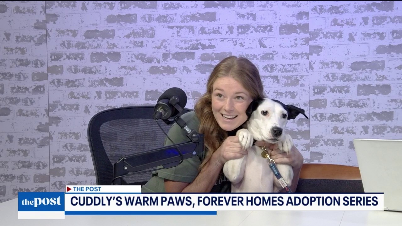 CUDDLY's Adoption Series & Blanket Drive | The Post