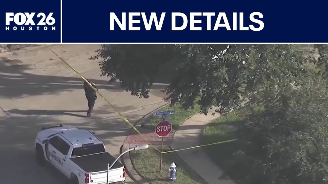 New information about deaths of mother, son in Harris County