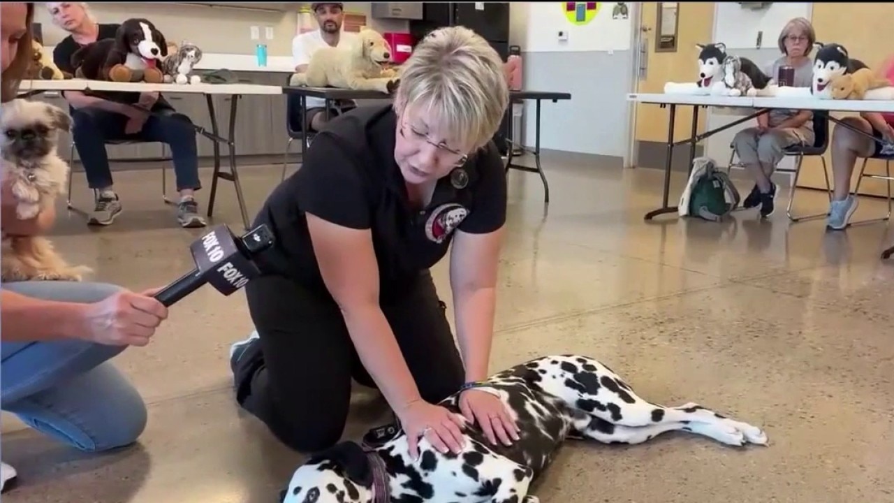 Heidi's Village offers pet CPR and first aid training for owners