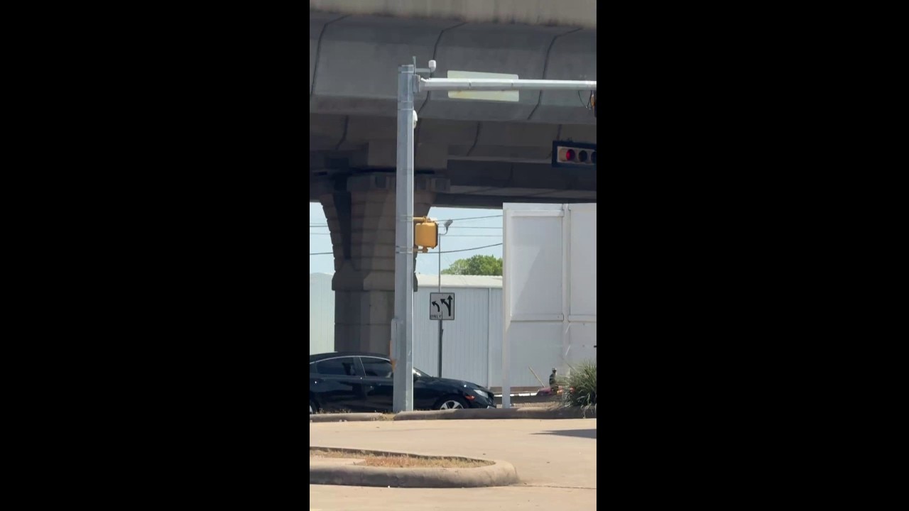 APD cellphone video from ICE shooting