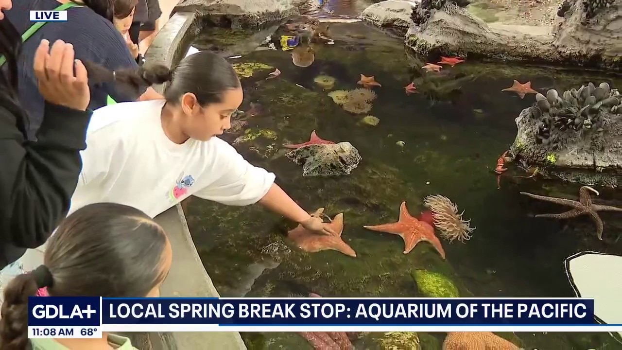 Local spring break stop: Aquarium of the Pacific 