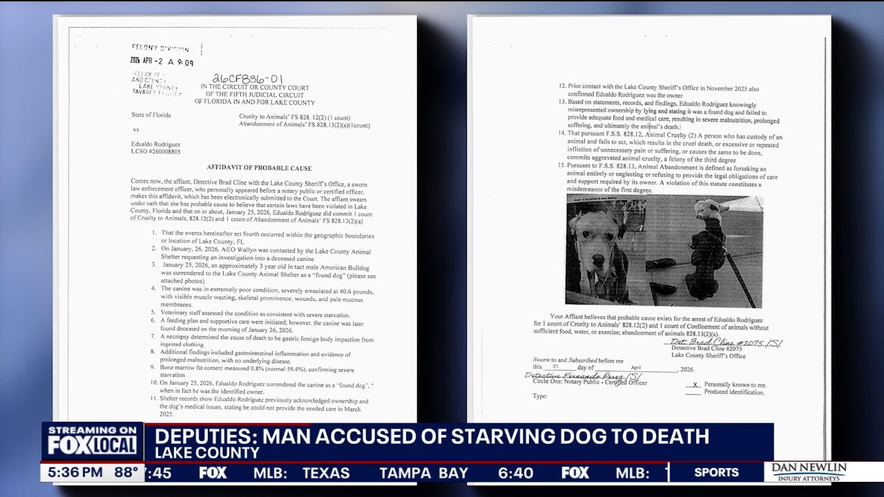 Lake County man charged after dog dies of alleged starvation