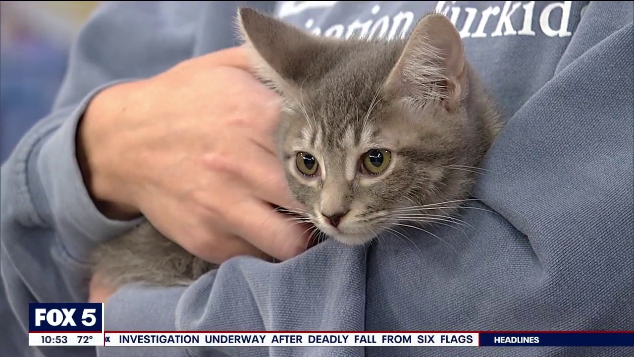 Pet of the day: Martha
