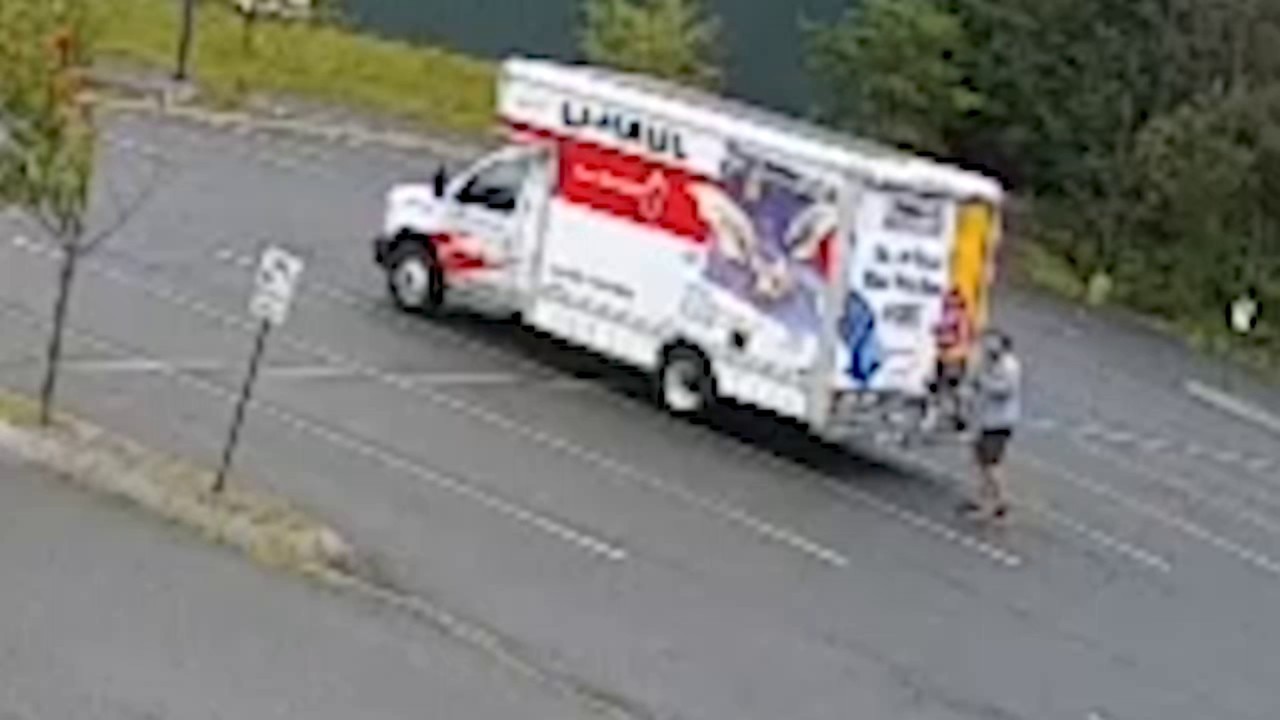 Mystery Animal Attacks 3 People in New Hampshire Town