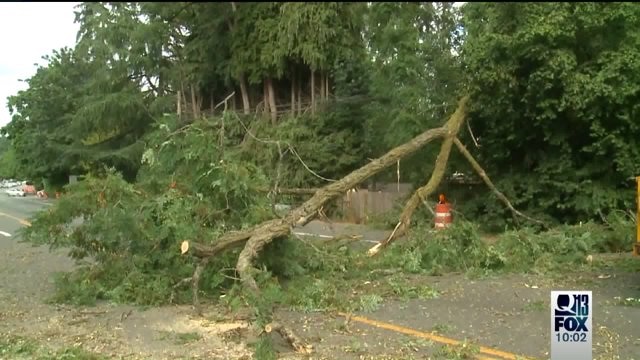 Fallen tree forces closures of SR 522 for hours