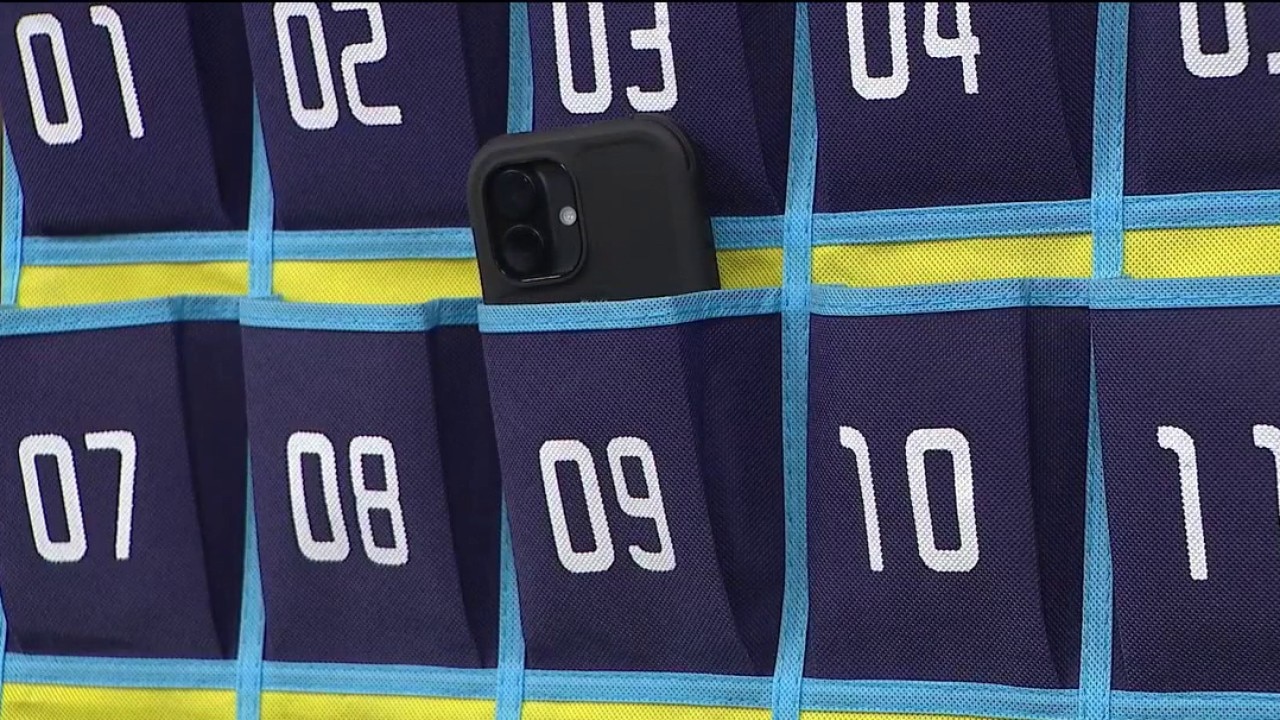 Will cell phones be banned in all Illinois schools?