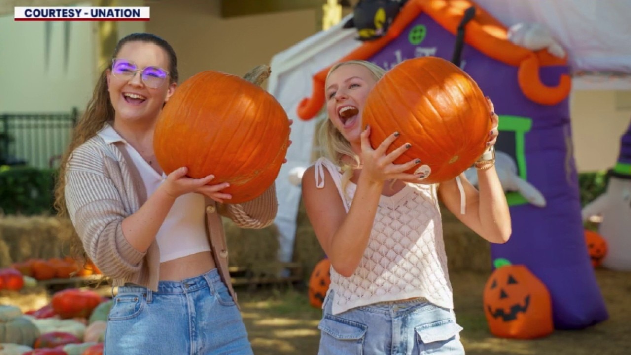 Best ways to spend the weekend in Central Florida