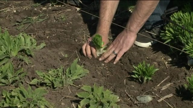 Chip learns all about the fresh flowers you can get at Willoway Farm