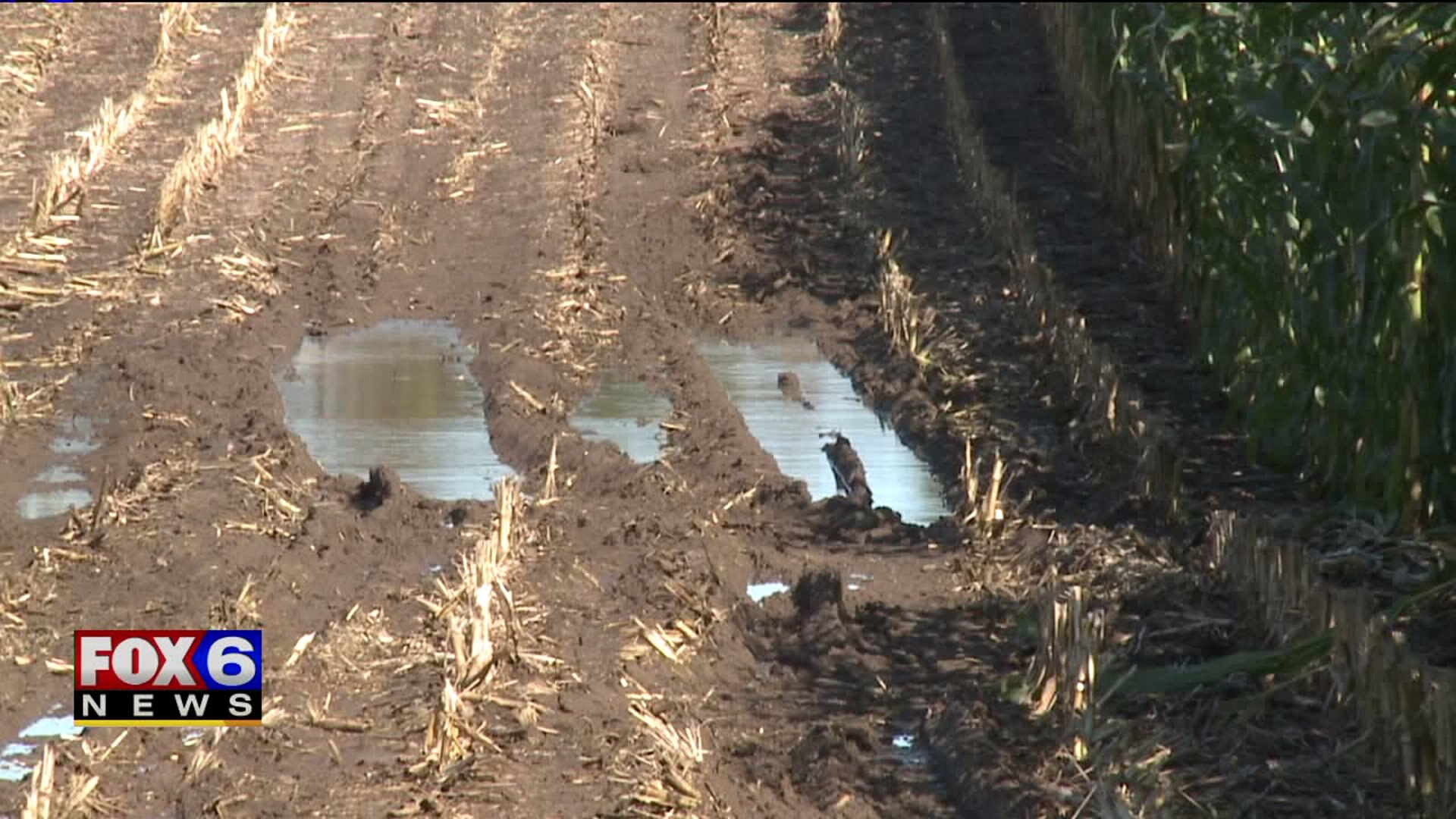 Farmers in southeast Wisconsin struggle to harvest following heavy rain